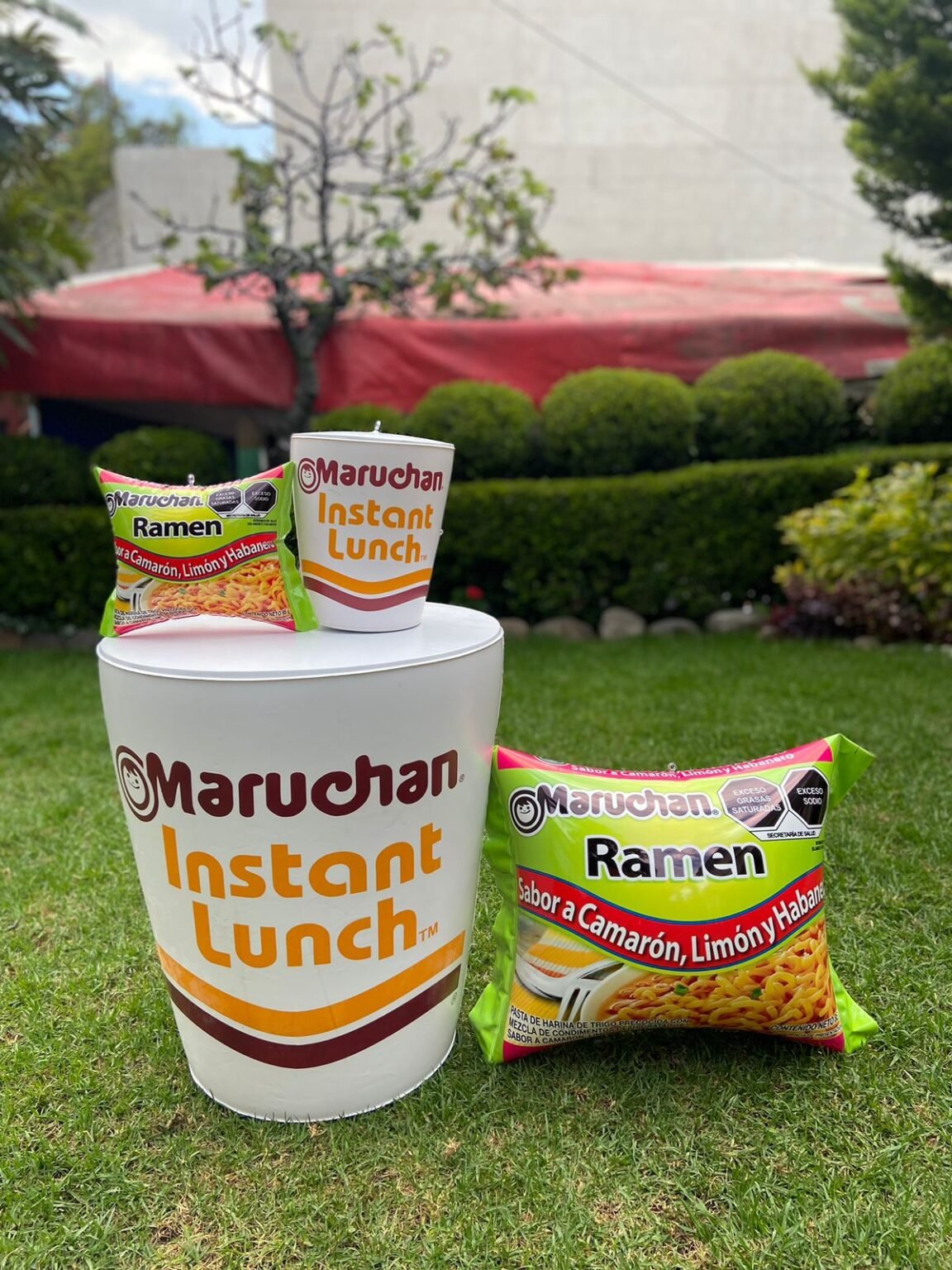 InflablesSellados-ReplicasInflables-Maruchan-Tinto360
